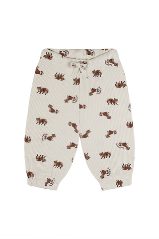 Raccoon Playtime Long Sleeve Pants Set