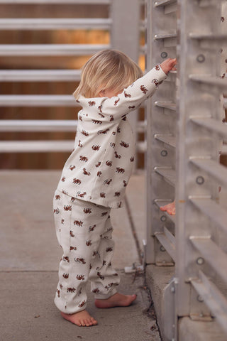 Raccoon Playtime Long Sleeve Pants Set