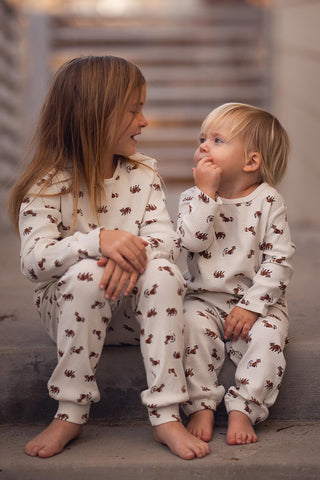 Raccoon Playtime Long Sleeve Pants Set