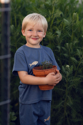 Marine Short Short Sleeve Tee Short Pyjama