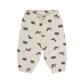 Raccoon Playtime Long Sleeve Pants Set