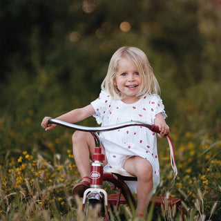 Ladybug Dress